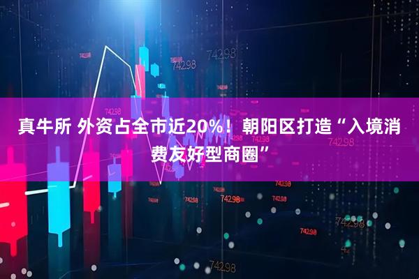 真牛所 外资占全市近20%!朝阳区打造“入境消费友好型商圈”